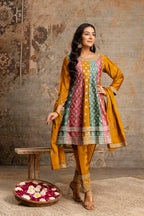 Silk Frock Set