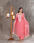 Elegant Organza Kurti Set